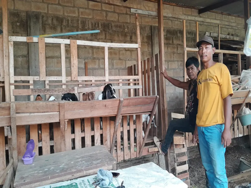 adi sorum kambing lima