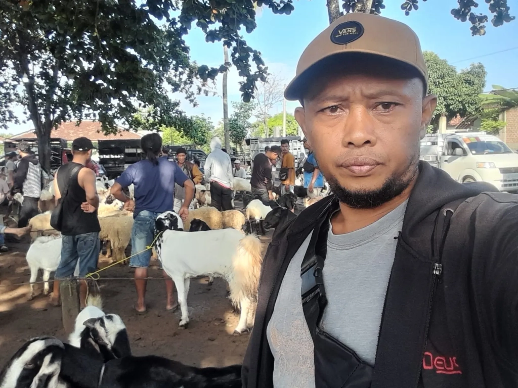adi sorum kambing sebelas