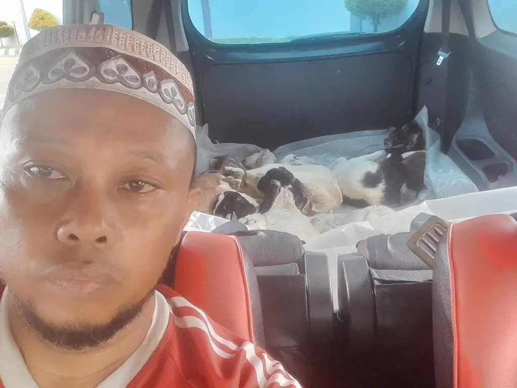 adi sorum kambing satu 22 (1)