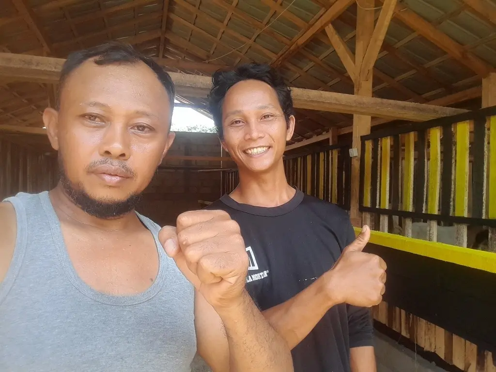 adi sorum kambing-37